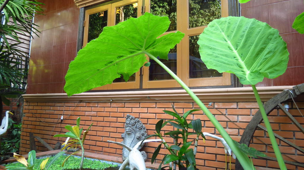 Big Lyna Villa Siem Reap Esterno foto